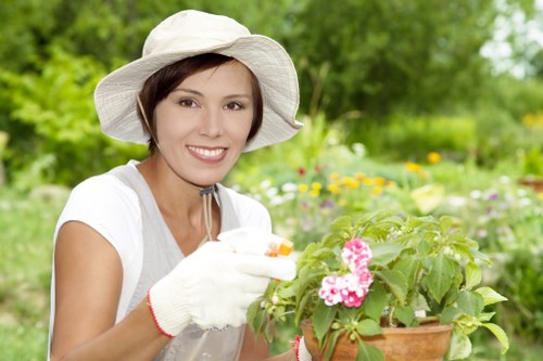 Close-up of a gardener pruning shrubs in a residential Norwood garden, showing tools and greenery.