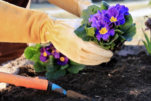 Inspector conducting a supplier audit at a garden maintenance site