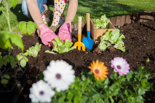 A thriving garden in Norwood, maintained by expert garden care professionals.