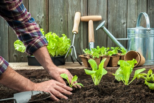 Gardener pruning shrubs in a Norwood garden