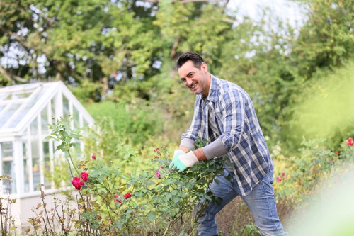A man in a plaid shirt and jeans is tending to a flower bed in a residential garden, surrounded by vibrant pink and red roses, with lush green grass and trees in the background. The garden appears well-maintained, with a neatly arranged flower bed bordered by soil and a paved pathway visible on the right. The background includes a small greenhouse or garden shed made of clear glass panels, partially obscured by the foliage, indicating a well-kept outdoor space suitable for gardening activities. The scene is bright and sunny, suggesting mild weather conducive to outdoor gardening, and the environment reflects a typical suburban Norwood garden focusing on floral cultivation and outdoor maintenance, consistent with services provided by Garden Maintenance Norwood.
